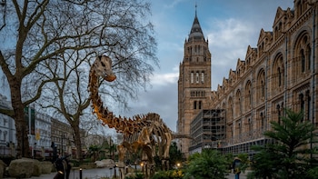 El auge del Museo de