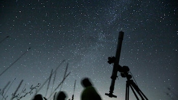 Cómo y cuándo ver la