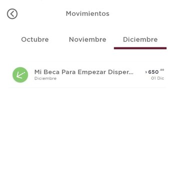 El pago se realiza el