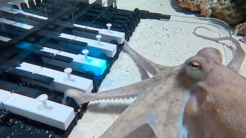 La perseverancia y la creatividad