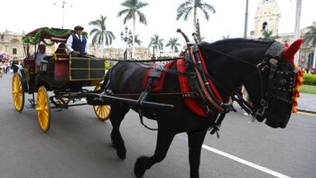 Rafael López Aliaga defendió iniciativa