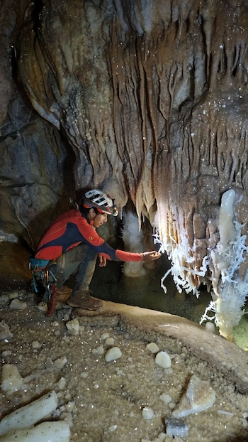 Luis Manuel Maguiña Pardave y