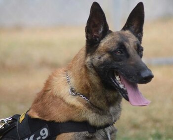 (Foto: Gobierno de Ecatepec de