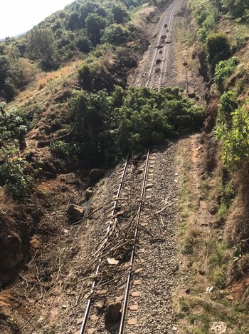 Derribaron dos árboles para bloquear