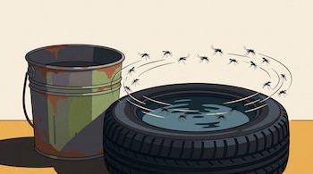 Un balde de metal desgastado y un neumático con agua en su interior rodeados por siluetas de mosquitos en un trazado circular.