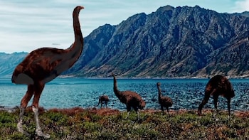 El ambicioso plan contempla modificar