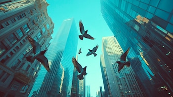 ¿Adiós al misterio? Científicos identifican