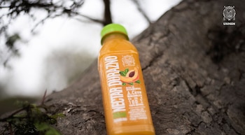 Universidad San Marcos lanza su