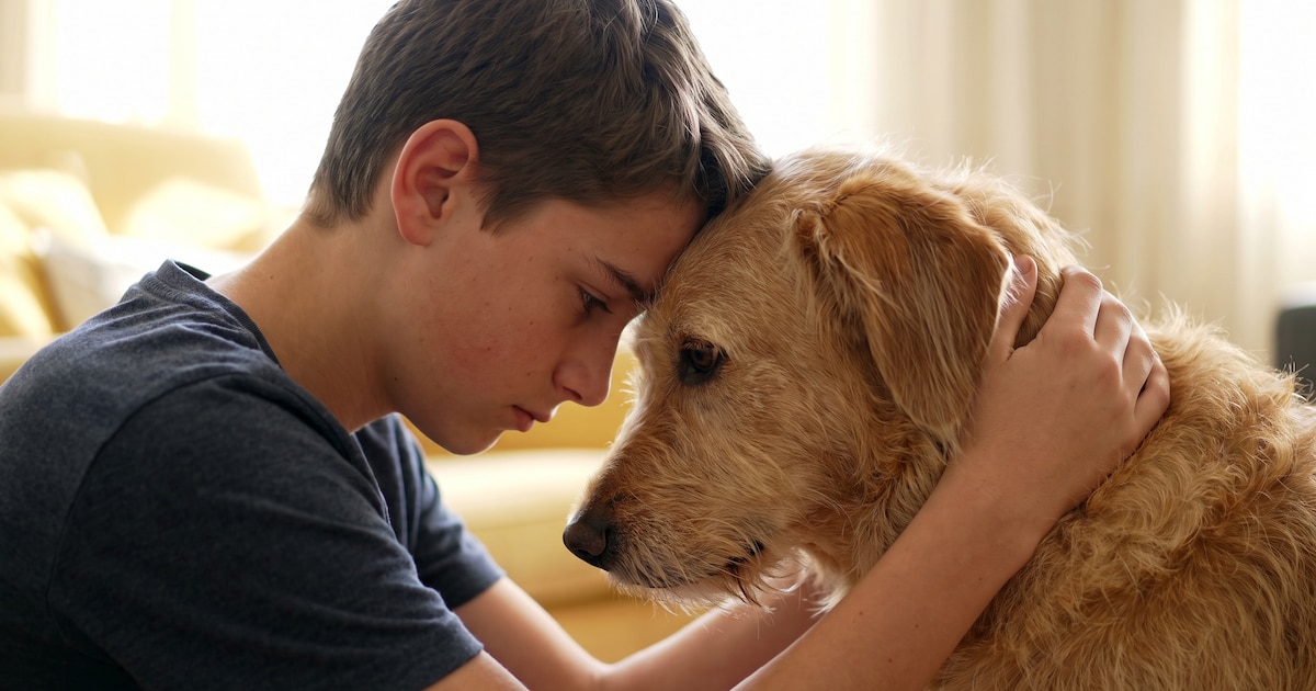 Photo: Infobae Teen Dog Bonds: How Pet Relationships Affect Adolescent Social Anxiety