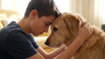 Por qué el vínculo con un perro puede mejorar la salud emocional de los adolescentes