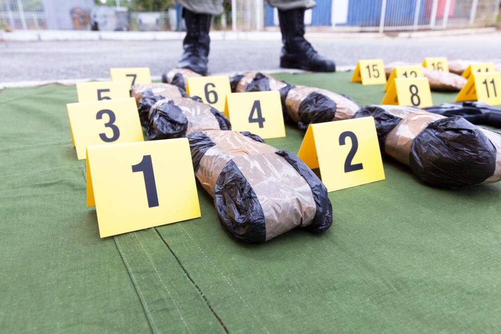 La droga decomisada estaba avaluada en 35 millones de dólares - crédito EFE