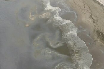 Foto: Latina Noticias