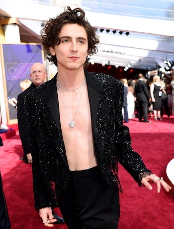 Timothee Chalamet en la alfombra