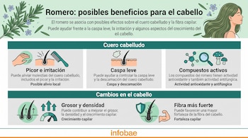 Infografía con texto sobre el romero, ramas de la planta, ilustración de una mujer con cabello largo e íconos informativos.