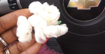 Patrick Rausch está bajo fuego