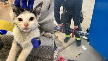 Autoridades recurrieron a maquinaria pesada