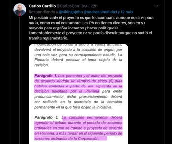Carlos Carrillo sobre el proyecto