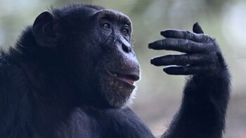 Con esta fecha se honra