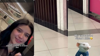 En redes denunciaron la presencia de ratas en exclusivo centro comercial de Bogotá: “Y justo en la zona de comidas”