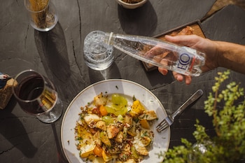 En Mendoza, la Ruta del