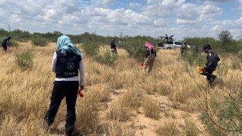 Más de 340 muestras han