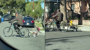 El conmovedor paseo en bicicleta