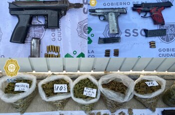 Entre la marihuana decomisada se