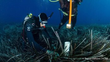 Una investigación sobre la conservación