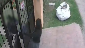 El video de la violenta