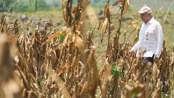 Con el objetivo de fortalecer