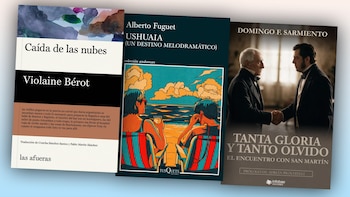 Qué leer esta semana: el chico que se mató, la mujer que ignoraba su embarazo y lo que contó Sarmiento tras su encuentro con San Martín