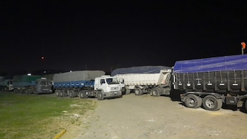 AFIP secuestro 4.100 toneladas de