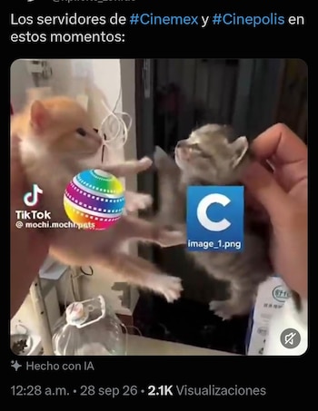 (Redes sociales/Captura de pantalla)
