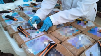 Marina decomisó cerca de 30