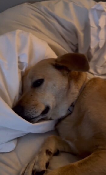 Dejó atrás su triste pasado