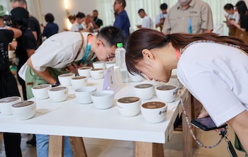 Un total de 64 lotes compiten en las categorías varietales, geishas naturales y geishas lavados antes de la subasta internacional programada para el 23 de septiembre. Cortesía