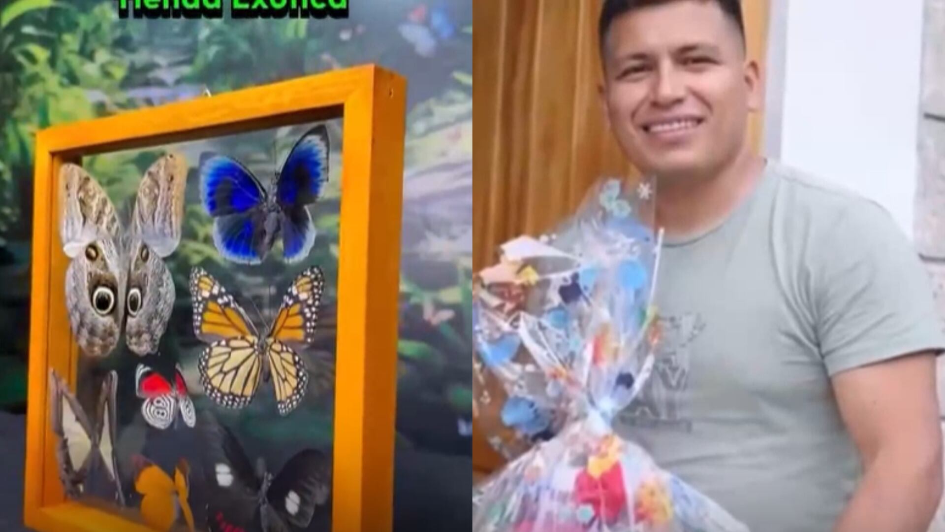 Empresario exportador de mariposas murió tras ataque armado en Tingo María| América Noticias