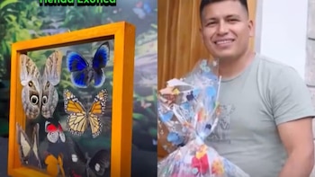 Asesinan a empresario de mariposario