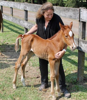A diferencia de la técnica