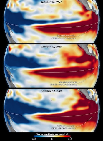 Tres mapas globales centrados en el océano Pacífico con áreas rojas y azules, fechas en inglés y una escala de nivel del mar en centímetros