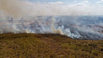 Según el Instituto Nacional de Pesquisas Espaciales (Inpe), la región centro-sur del país y parte de los estados de Mato Grosso y Mato Grosso do Sul están bajo riesgo de fuego crítico. EFE/Rogerio Florentino/Archivo