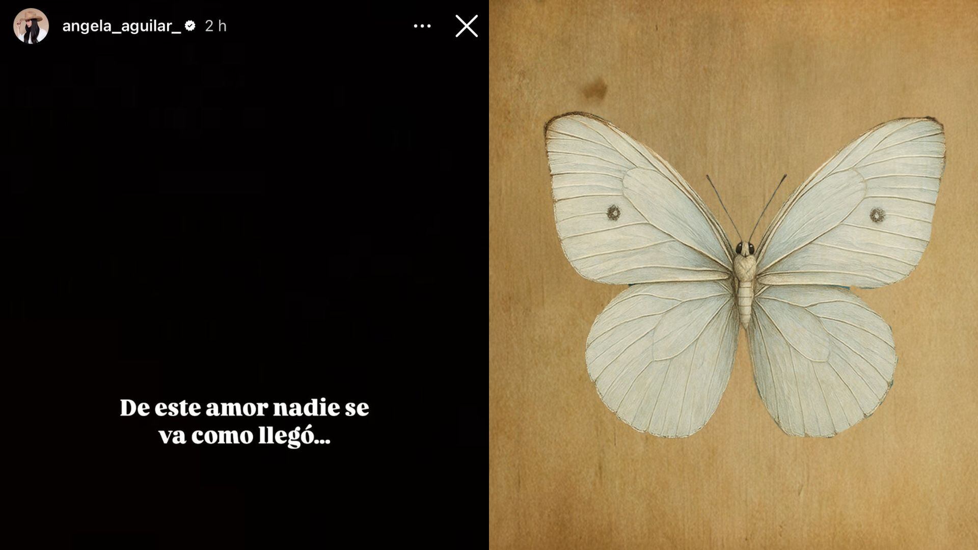 La intérprete de “Gotitas saladas” actualizó su foto de perfil en plataformas como Facebook, Instagram y TikTok.(Captura de pantalla @angela_aguilar_)