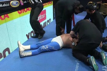 Blue Panther fue atendido después