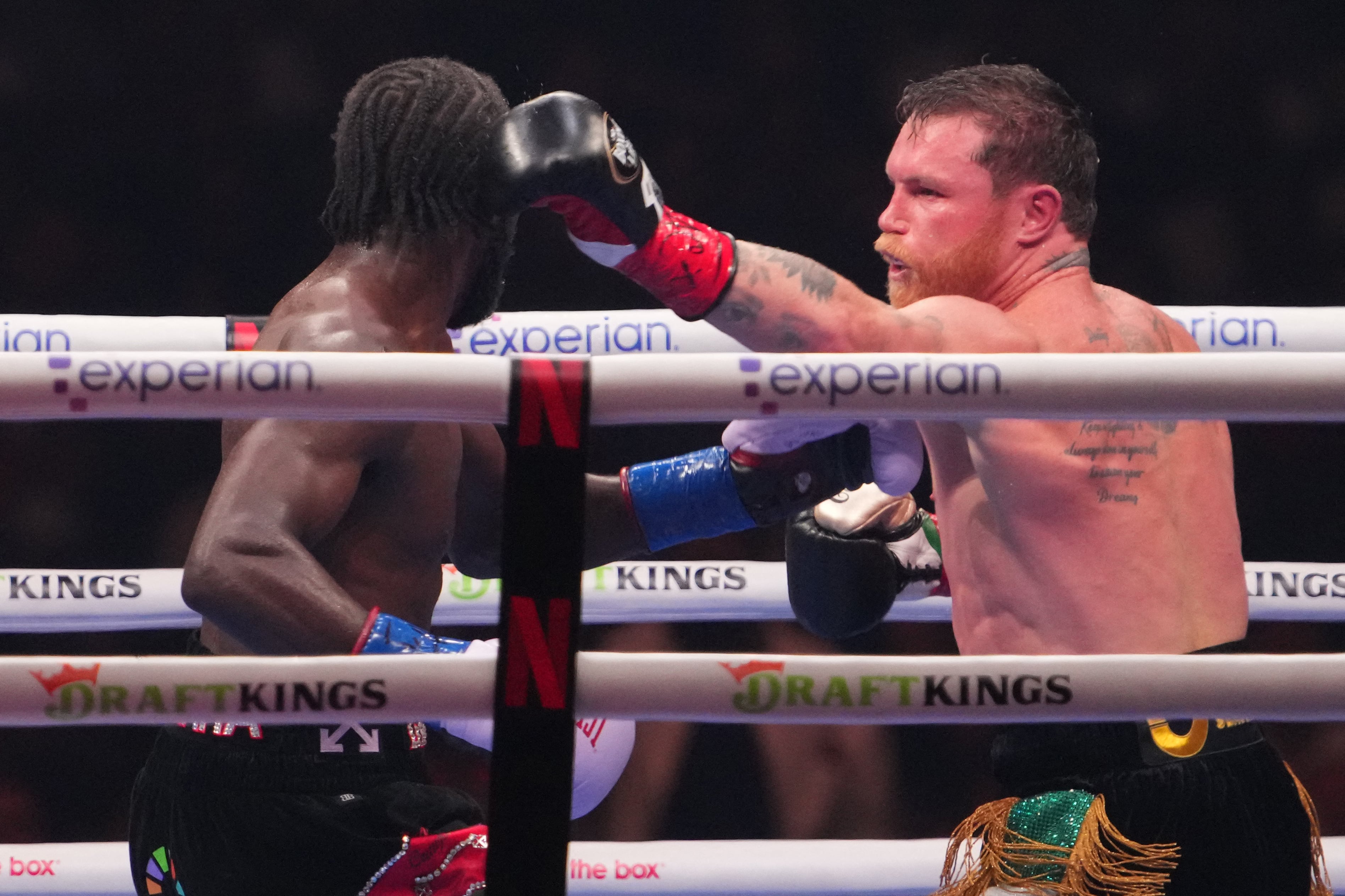 Canelo sufrió la derrota contra Terence Crawford en septiembre del 2025. Credit: Joe Camporeale-Imagn Images