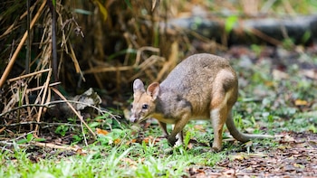 Aislada durante 30 millones de