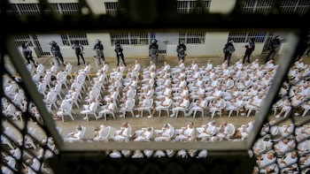 El Salvador: Asesinato de los hermanos Toledo y la futbolista Jimena Granados es atribuido a líderes de la MS-13 durante juicio a 486 cabecillas