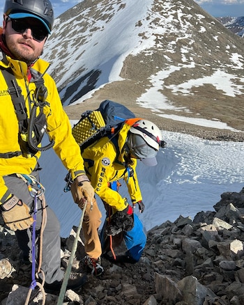 El milagro de Zola, la perra aussiedoodle que cayó casi 200 metros desde la cima de una montaña (Facebook Alpine Rescue Team)