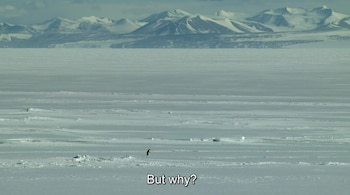 Imagen del documental 'Encounters at