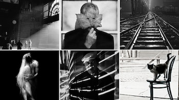 Aldo Sessa dona su realismo