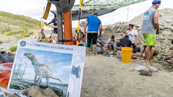 En busca de un gran dinosaurio en La Rioja: los arqueólogos encontraron restos de un animal de 10 metros que vivió hace 120 millones de años